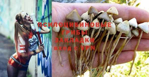 винт Бородино