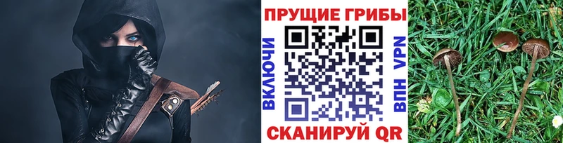 Галлюциногенные грибы MAGIC MUSHROOMS  Рыбинск 